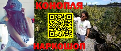 дживик Лесосибирск