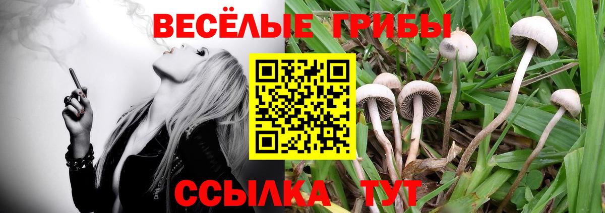 Галлюциногенные грибы мицелий  Галлюциногенные грибы MAGIC MUSHROOMS  Городец  Вход с VPN 